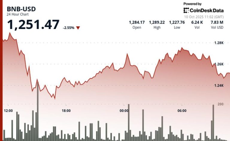 ‘L1 Wealth Effect’ Drives BNB Ecosystem Despite Pullback From $1.3K High ‘L1 Wealth Effect’ Drives BNB Ecosystem Despite Pullback From $1.3K High