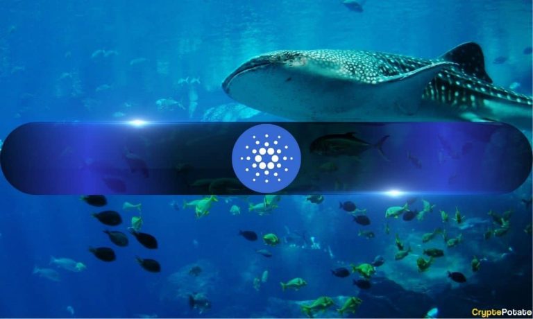 Cardano Holder Loses 87% of $6.9M in Botched USDA Swap