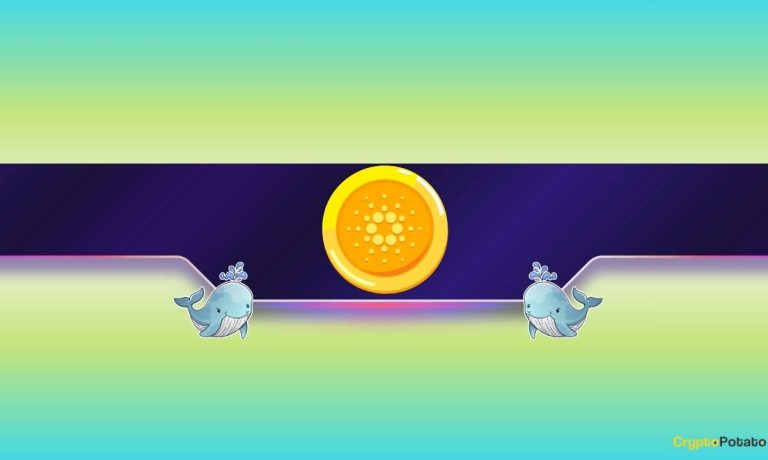 What Do Cardano Whales Know? What Do Cardano Whales Know?